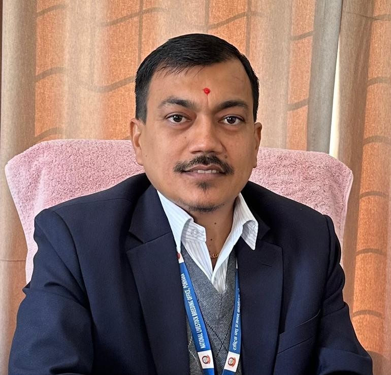 प्रमुख पशु विकास अधिकृत